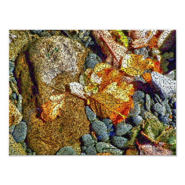 RIVER PHOTO PRINT (Front)