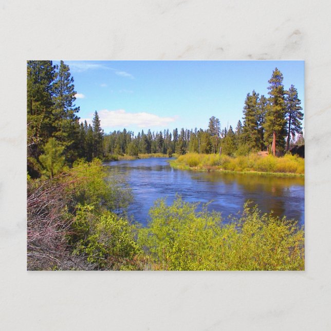 River Postcard (Front)