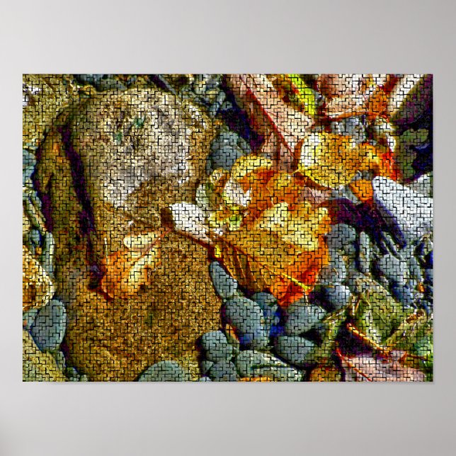 RIVER POSTER (Front)