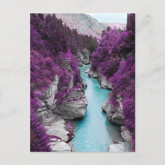 River, purple flowers and rocks postcard (Front)