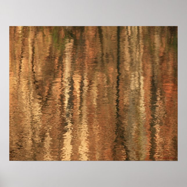 River Reflections 1 Poster (Front)