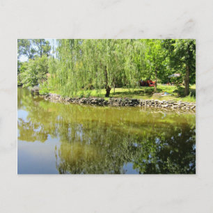 River reflections postcard