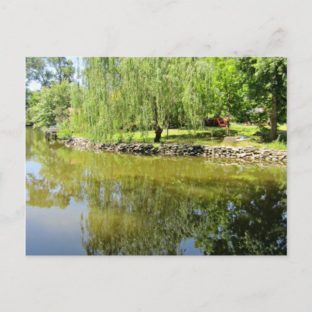River reflections postcard (Front)