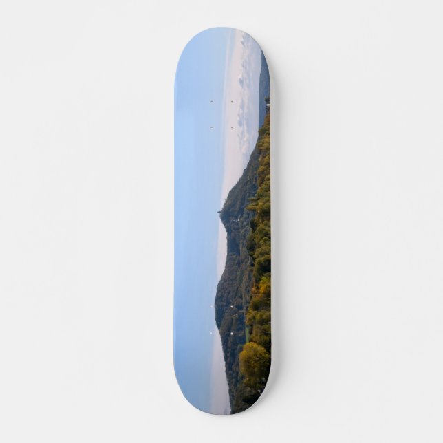 River Rhein Skateboard (Front)