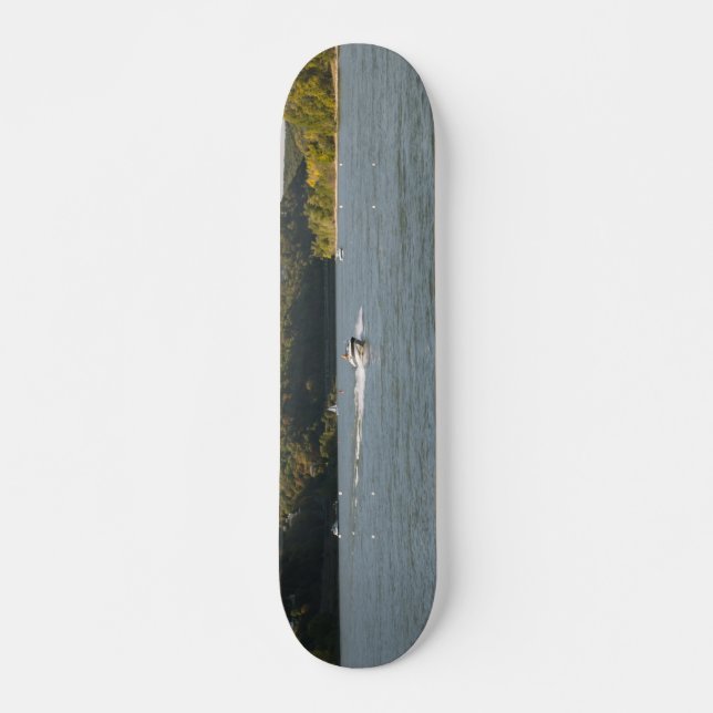 River Rhein Skateboard (Front)