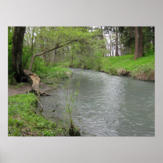 River Scene Poster