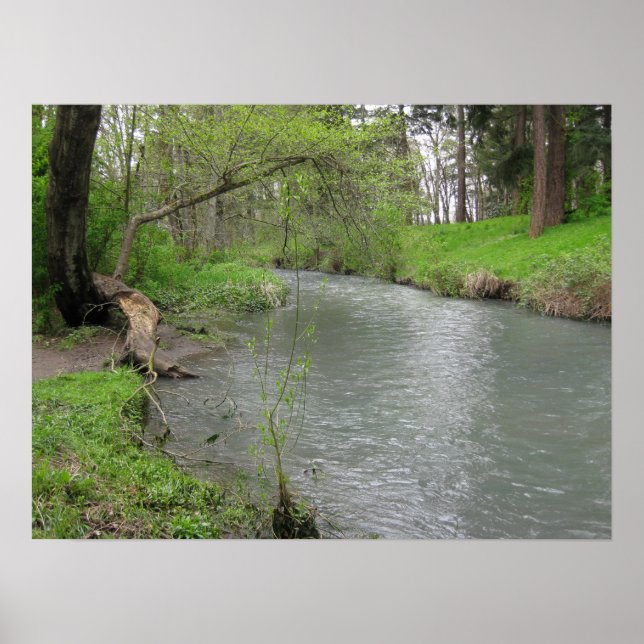 River Scene Poster (Front)