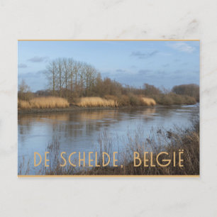 River Scheldt View, Dendermonde, Belgium Postcard