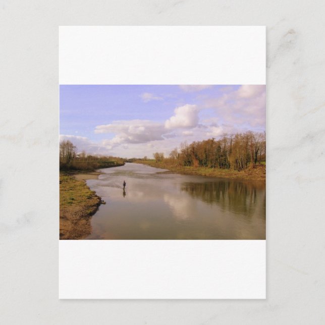 River Shannon Postcard (Front)