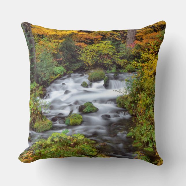 River through forest, Fall, Oregon Cushion (Front)