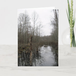 River Through the Wilderness Card