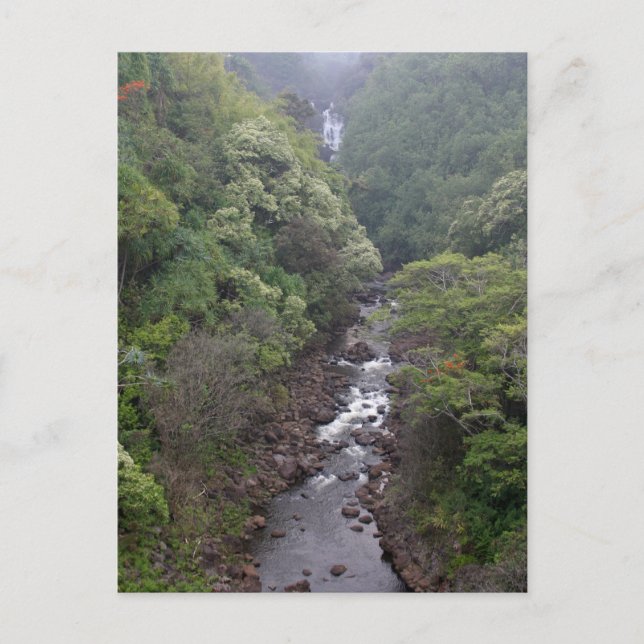 River Valley Near Hilo, Hawaii Postcard (Front)