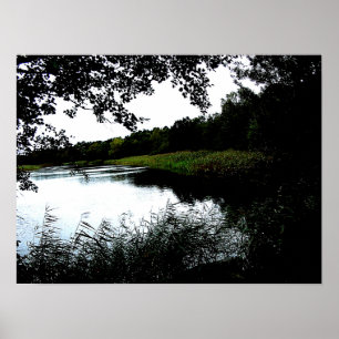River with trees and reed photo poster