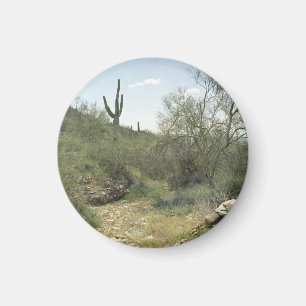 Riverbed Remembrance Desert Refrigerator Magnet