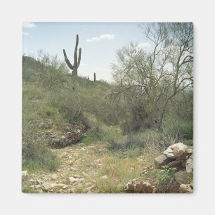 Riverbed Remembrance Desert Refrigerator Magnet