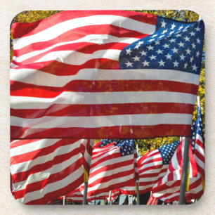 Riverdale, New York, USA. Wine country Coaster