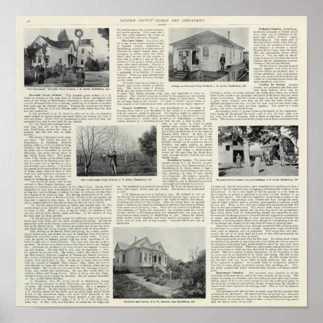 Riverdale Prune Orchard, California Poster (Front)