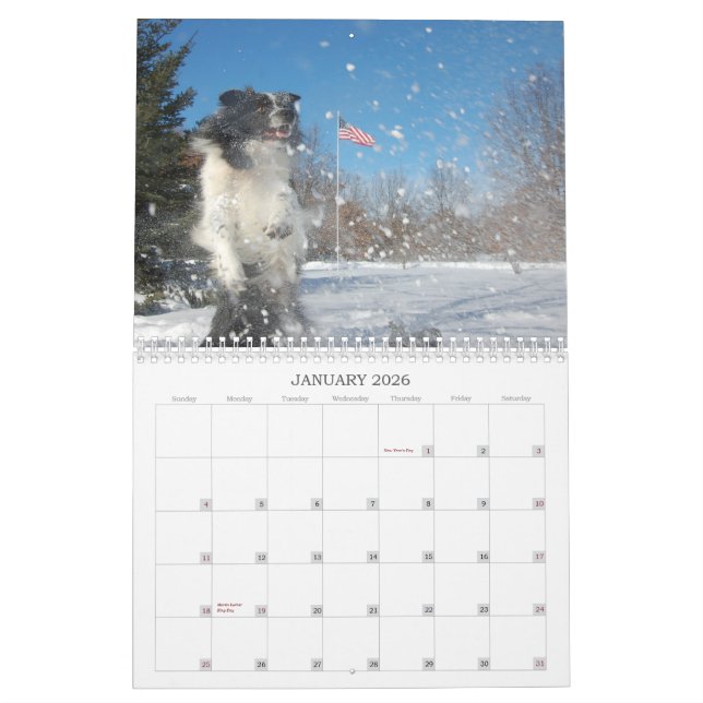 RiverRun Border Collies 2012 Calendar (Jan 2026)