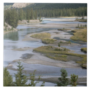 Rivers run through a lowland section of Jasper Tile