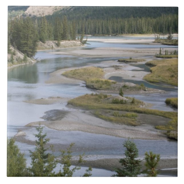 Rivers run through a lowland section of Jasper Tile (Front)