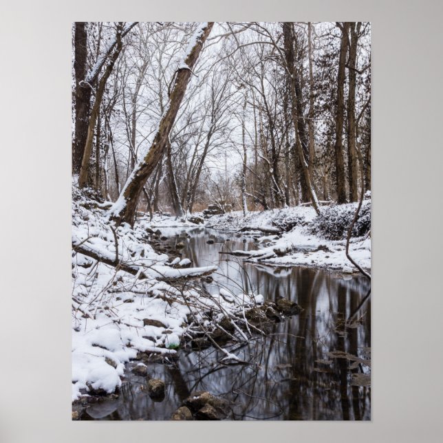 Riverside Snow Poster (Front)