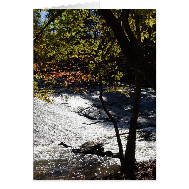 Riverside Sparkles (Front)