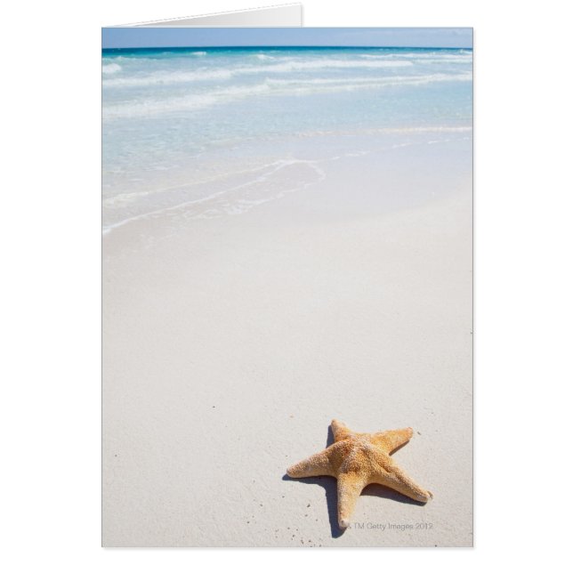 Riviera Maya (Front)