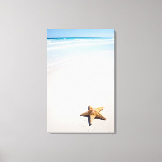 Riviera Maya Canvas Print