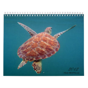 Riviera Maya Mexico Calendar