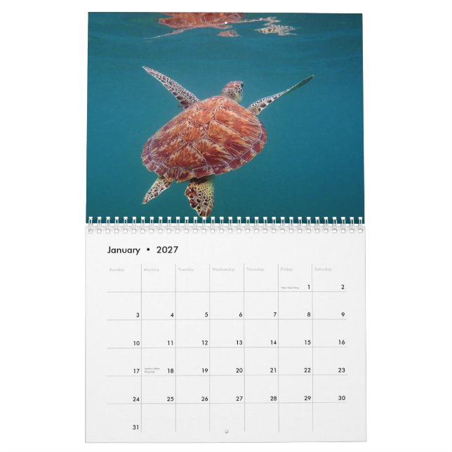 Riviera Maya Mexico Calendar (Jan 2027)