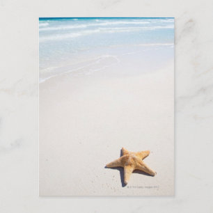 Riviera Maya Postcard