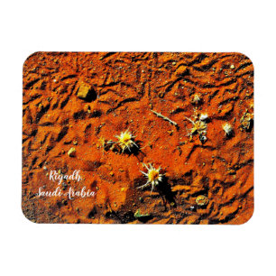 Riyadh, Saudi Arabia Magnet