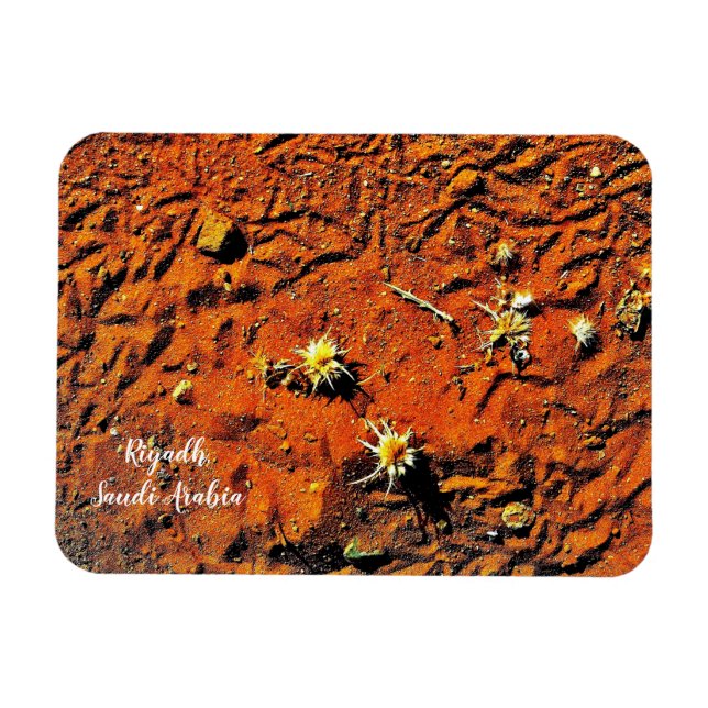 Riyadh, Saudi Arabia Magnet (Horizontal)