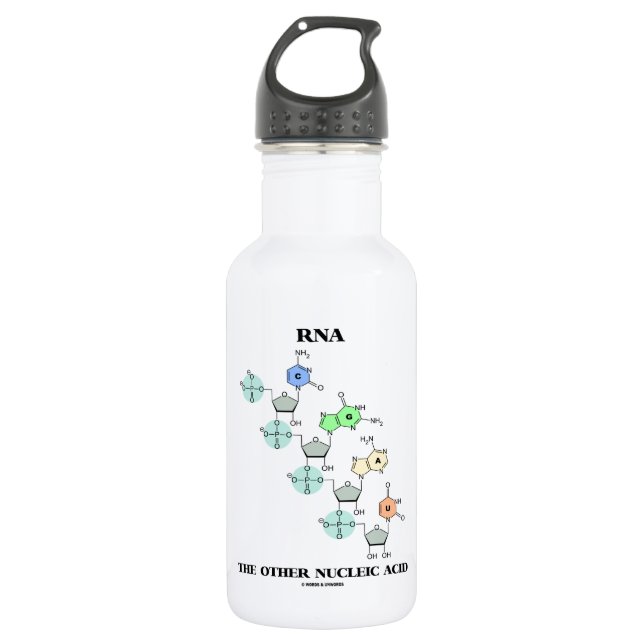 RNA The Other Nucleic Acid (Chemical Structure) 532 Ml Water Bottle (Front)