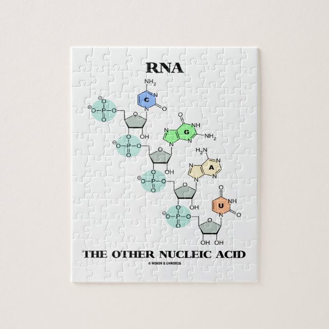 RNA The Other Nucleic Acid (Chemical Structure) Jigsaw Puzzle (Vertical)