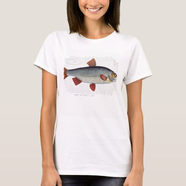 Roach (Cyprinus Rutilis) plate II from 'Ichthyolog T-Shirt (Front)