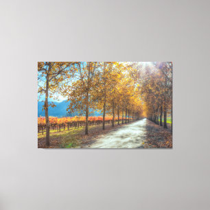 Road at Vineyard Autumn Canvas Print