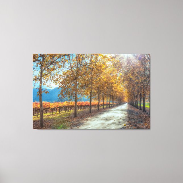 Road at Vineyard Autumn Canvas Print (Front)