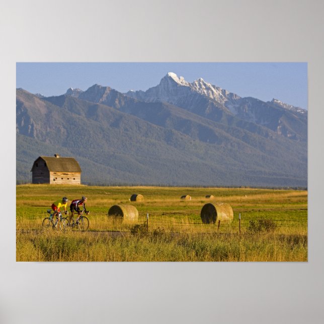 Road bicyclists race down back country road in poster (Front)