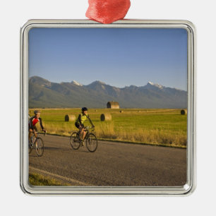 Road bicyclists ride down a back country road metal tree decoration