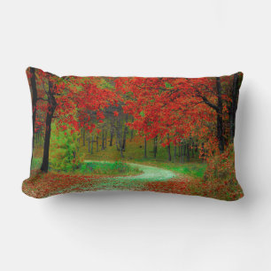 ROAD FOREST TREES BOTANICAL NATURE LANDSCAPE LUMBAR CUSHION