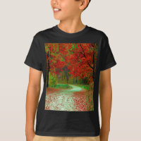ROAD FOREST TREES BOTANICAL NATURE LANDSCAPE   T-S