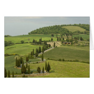 Road from Pienza to Montepulciano,
