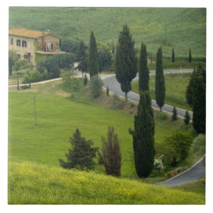 Road from Pienza to Montepulciano, 2 Tile