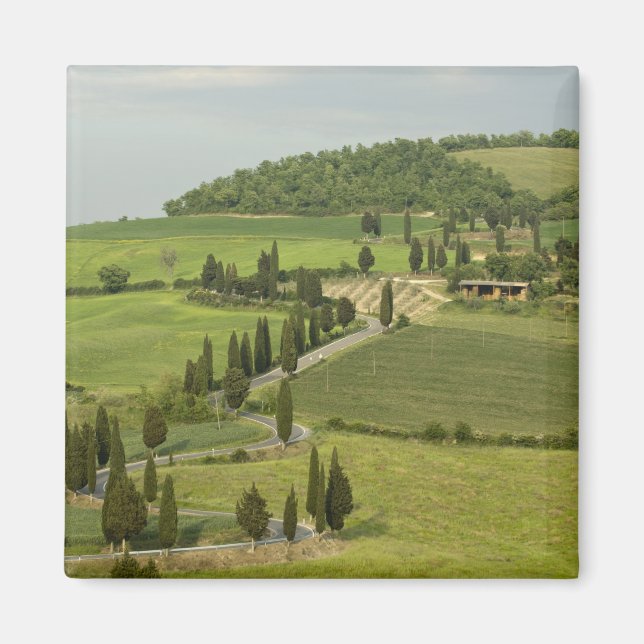 Road from Pienza to Montepulciano, Magnet (Front)