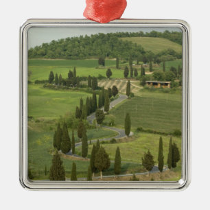 Road from Pienza to Montepulciano, Metal Tree Decoration
