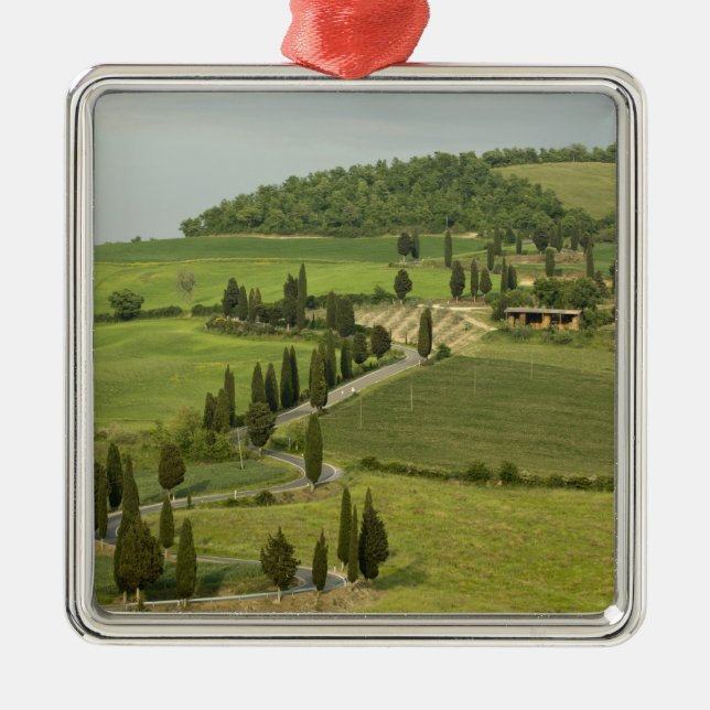 Road from Pienza to Montepulciano, Metal Tree Decoration (Front)