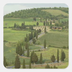 Road from Pienza to Montepulciano, Square Sticker