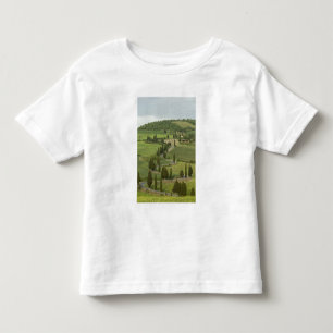 Road from Pienza to Montepulciano, Toddler T-Shirt