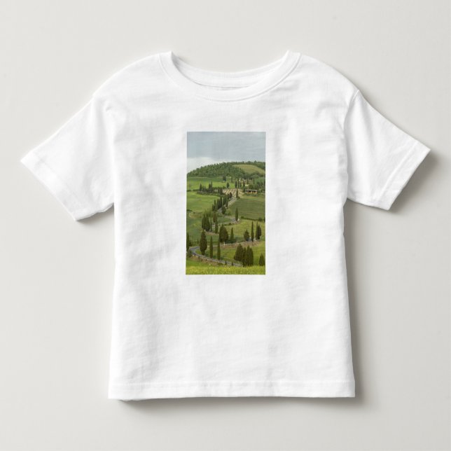 Road from Pienza to Montepulciano, Toddler T-Shirt (Front)